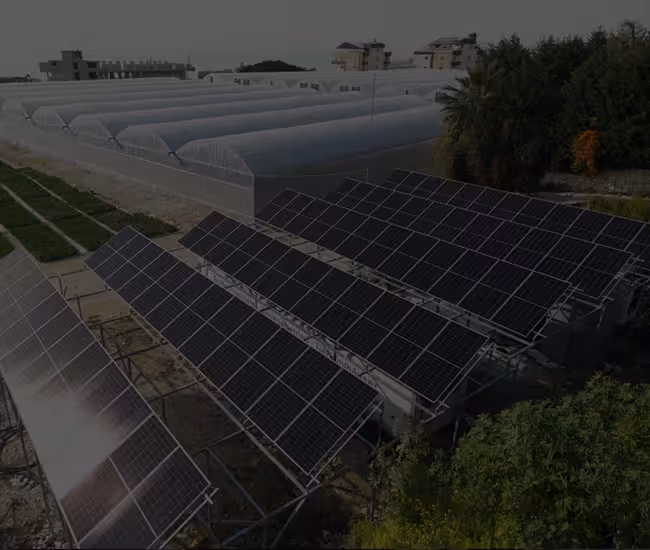 BW-NEOX7-Agricultural-experience